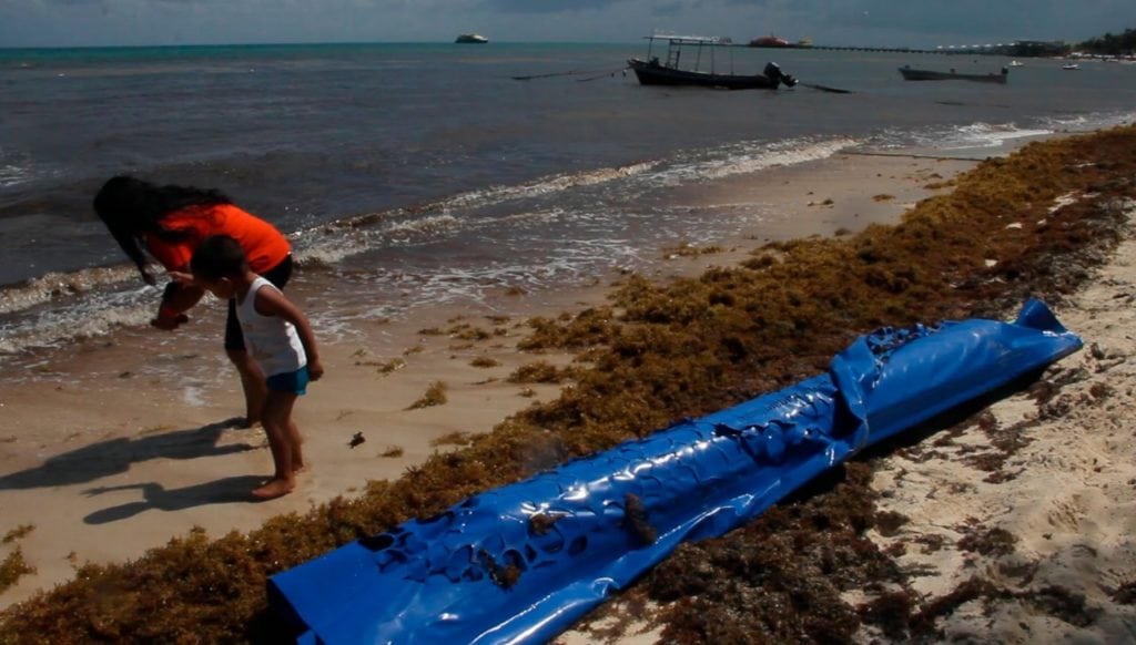 Barreras en Playa del Carmen