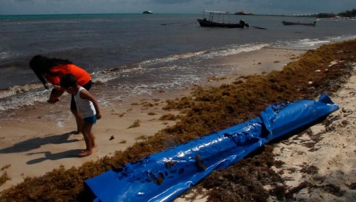 Barreras en Playa del Carmen