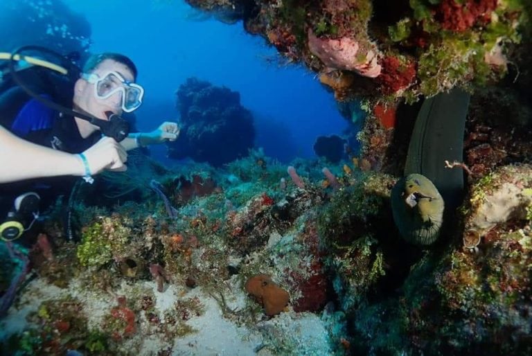 Afirman que es mala decisión pretender cerrar el Arrecife Paraíso al buceo