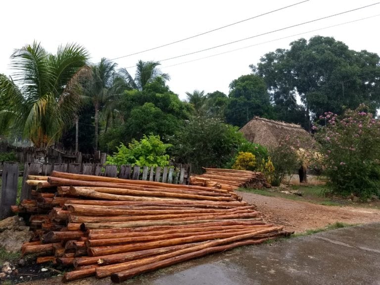 Conserva de hectáreas beneficia a campesinos