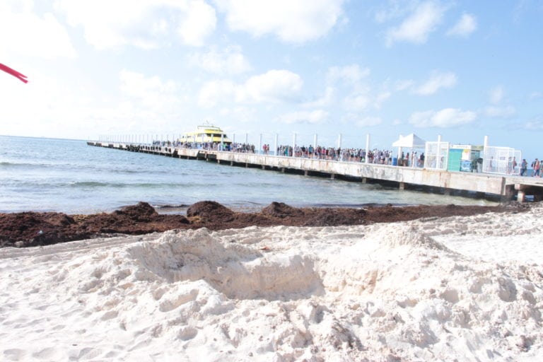 ¿Por qué compete a Zofemat y concesionarias limpiar sargazo de playas?