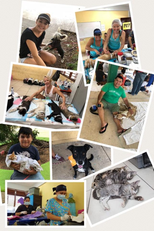 “Coco’s Animal’s” necesita apoyo para recuperar instrumental veterinario robado