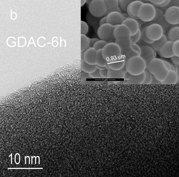 Comité científico de la UNAM analiza técnica de carbonización anti-sargazo