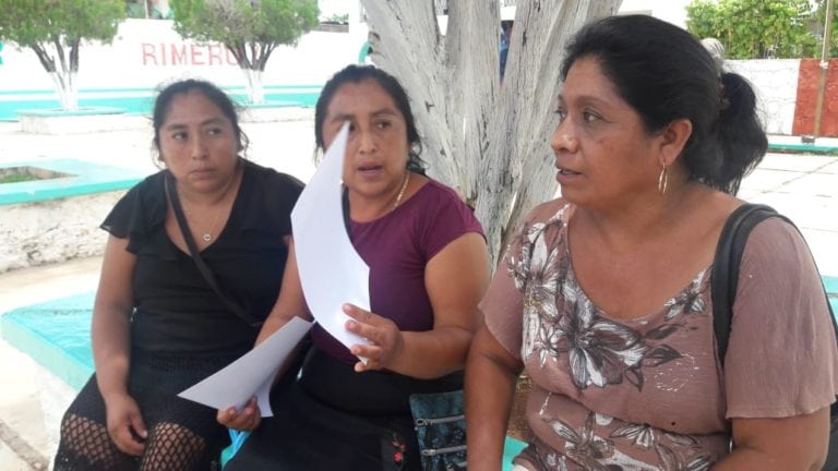 Relegan a mujeres mayas, no les dan apoyo para invernadero