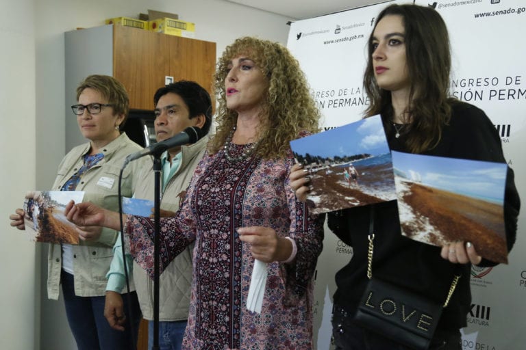 Buscan que AMLO priorice combate al sargazo