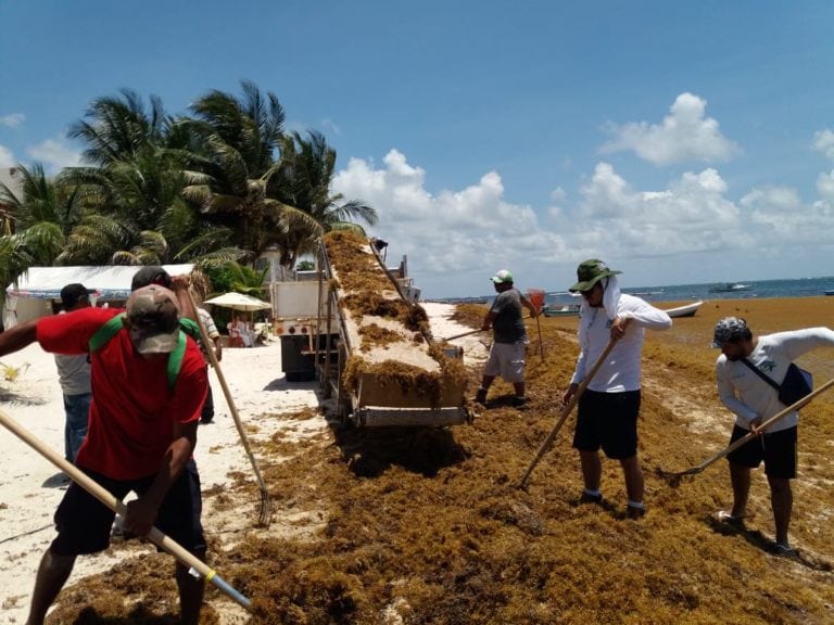 Trabajo coordinado permite hacerle frente a contingencia por el sargazo: Laura Fernández