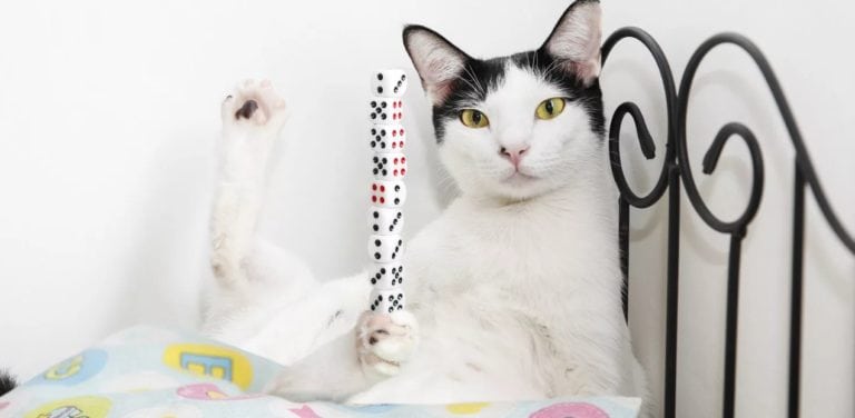 Cinco Récords Guinnes de locura