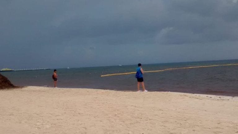 Afecta el mal clima a la barrera antisargazo