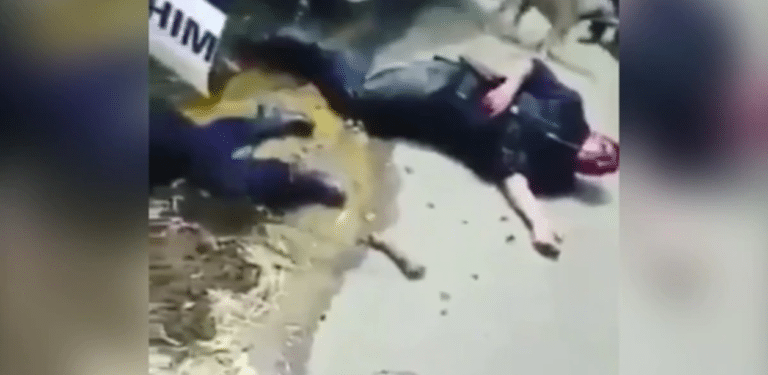 Video: Chocan patrulla y en vez de ayudar a policías la gente se ríe