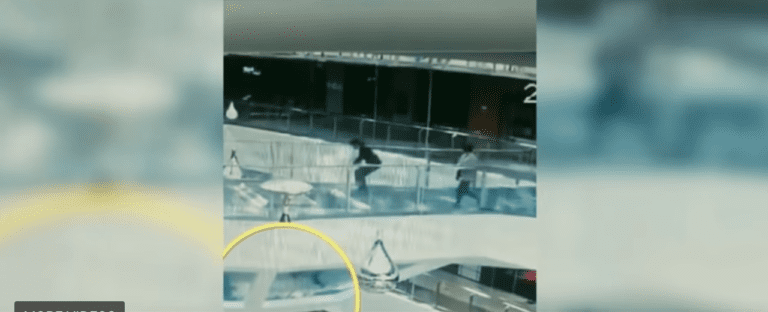 ¡Dramático video! Mujer resbala y cae a un tanque de tiburones