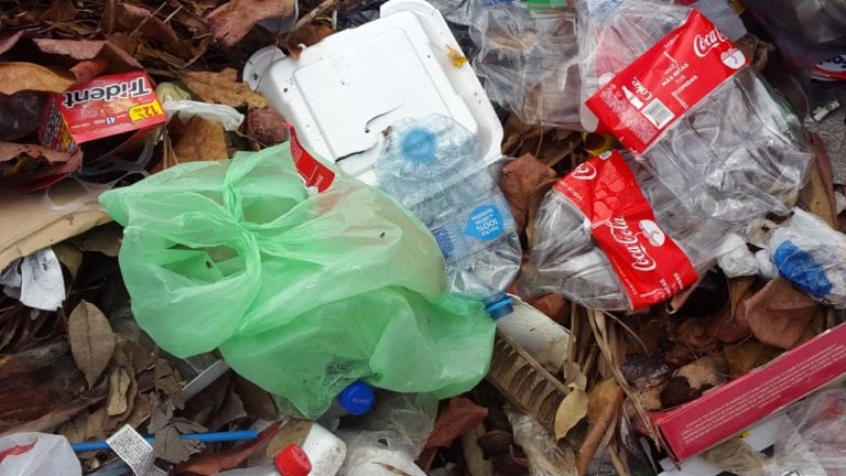 Se suman cañeros a limpieza de Chetumal