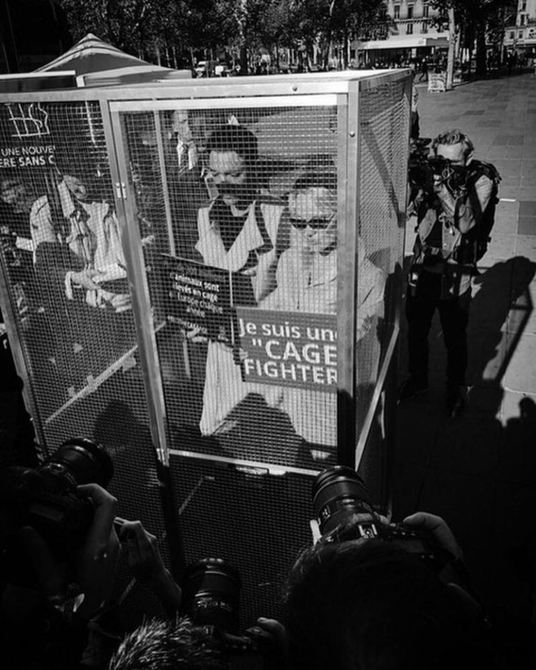 Se enjaula Pamela Anderson en protesta por maltrato animal