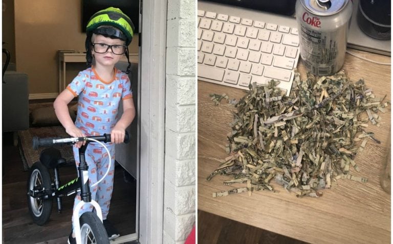 Niño de dos años tritura el dinero ahorrado por sus padres