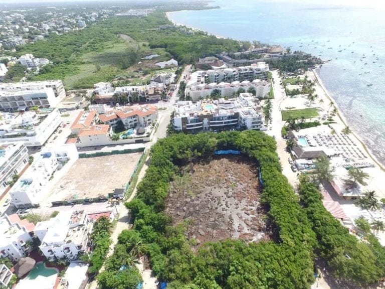 Invasores serían responsables de devastación en Albatros