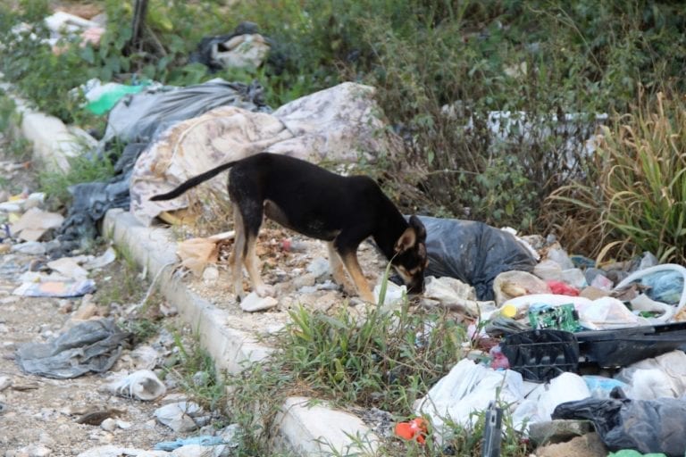 Galería: Malestar por tiradero clandestino de 2 km. en Rancho Viejo