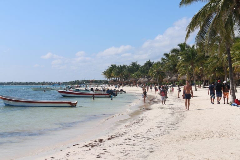 Malla antisargazo en Akumal dañaría ecosistema de tortugas