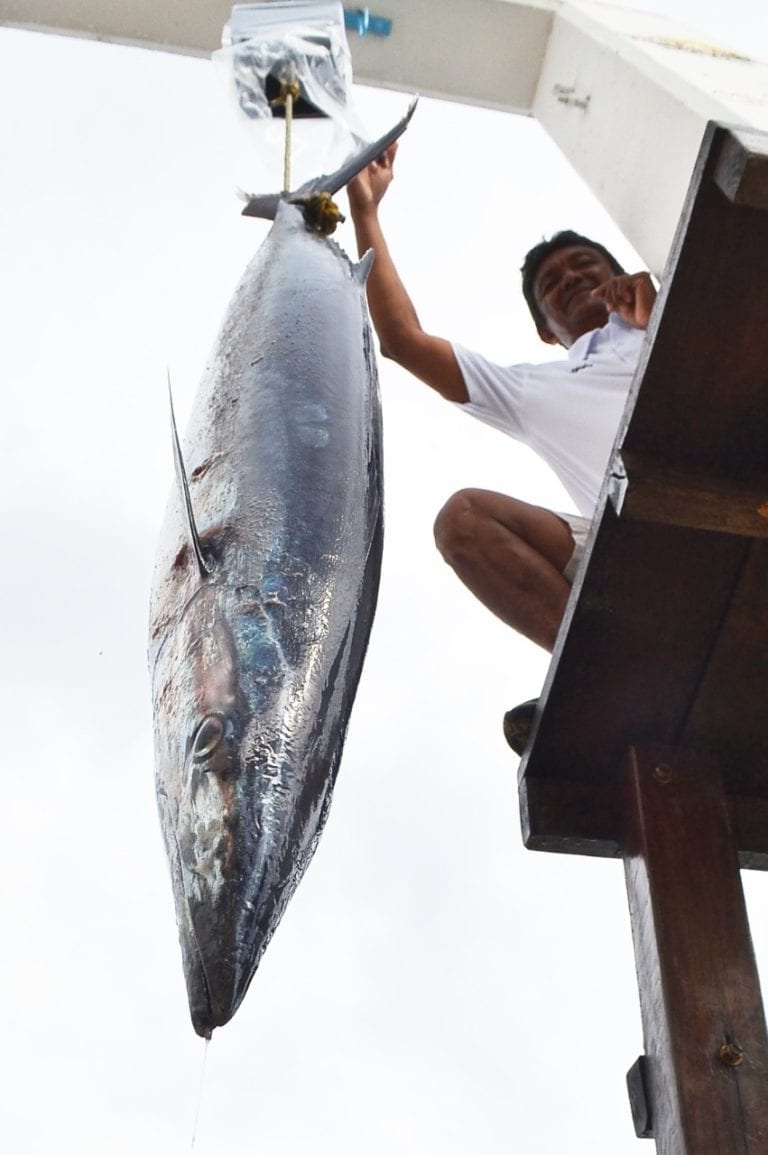 Cozumel albergará el “Torneo del Wahoo”; el último en el año