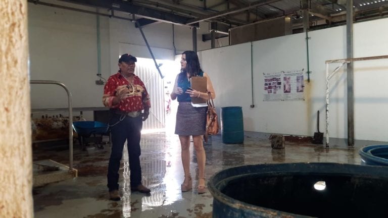 Realizan inspección en rastro municipal de Cozumel