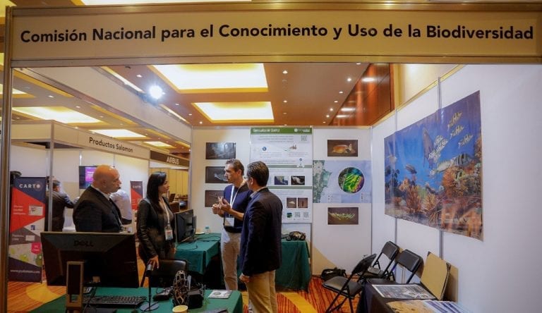 Llama Laura Fernández a preservar Sistema Arrecifal Mesoamericano