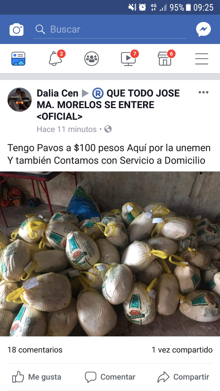 Saquean tráiler volcado con cientos de pavos y los venden por redes sociales