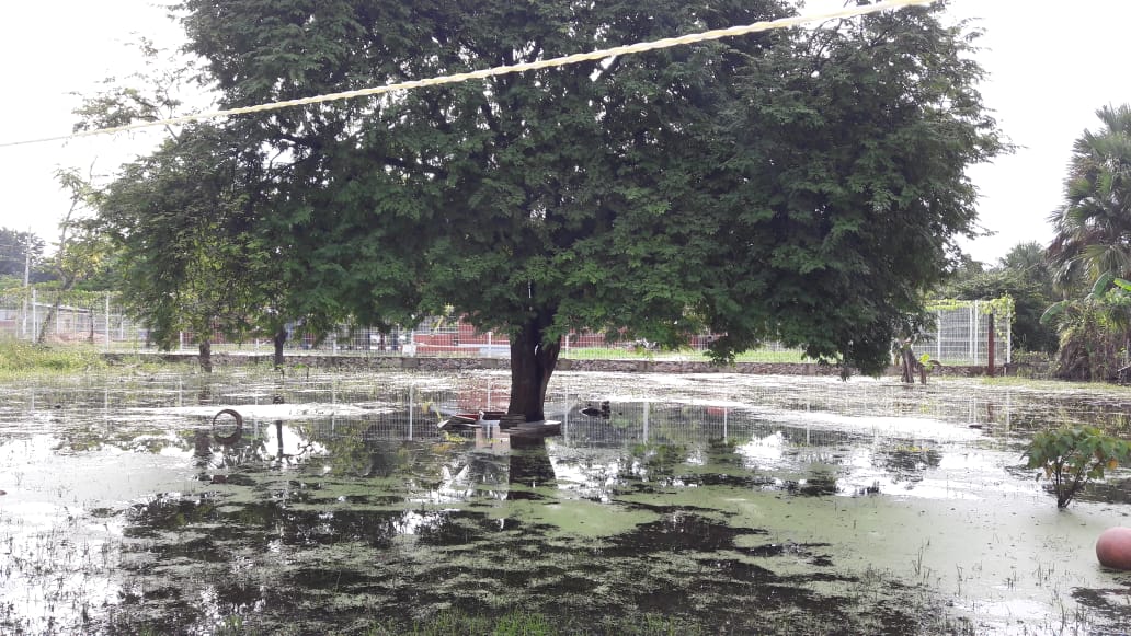 Instalan pozos de absorción en escuela que se inundaba