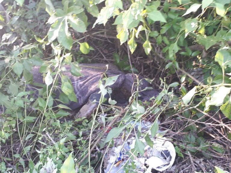 Mujer “encobijada” habría muerto de sobredosis