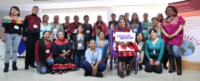 proyecto alimentario