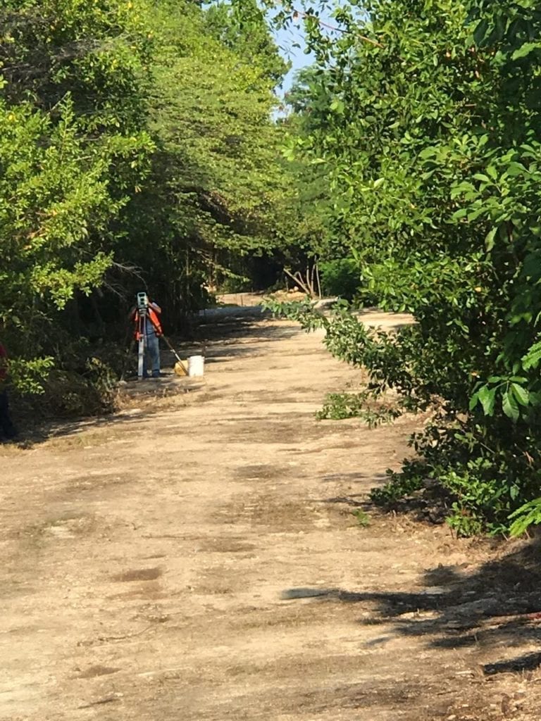 Dañan mangle en Puerto Morelos