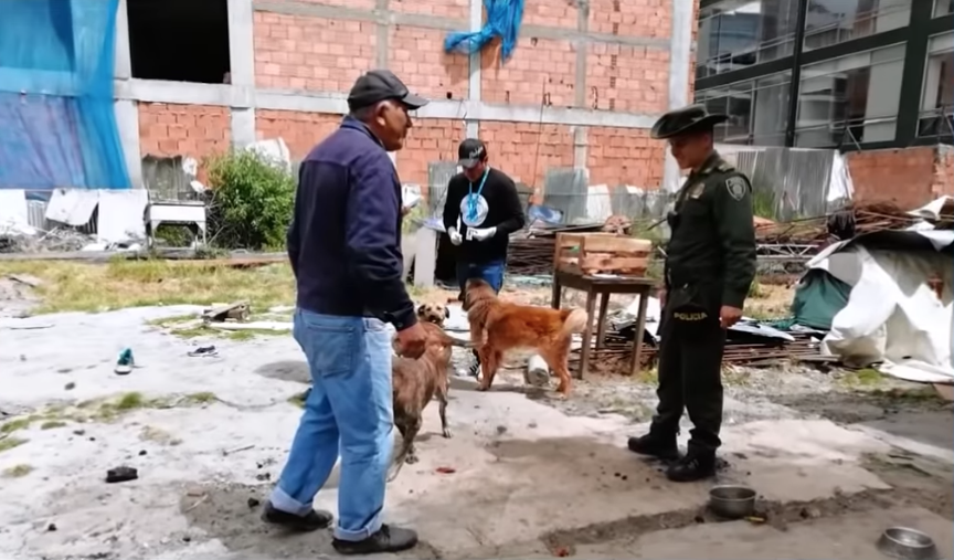 Joven abusaba sexualmente de su perrita y sus padres lo permitían