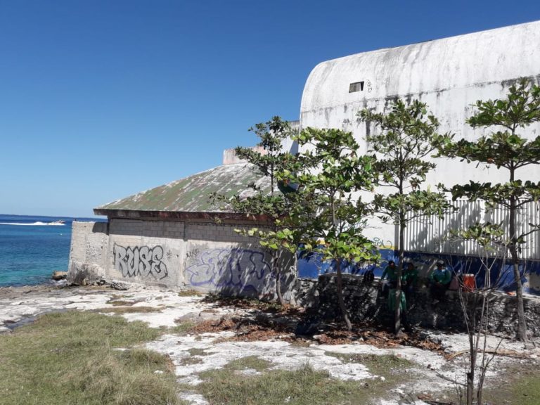 Alistan nuevo parque junto a playa en Cozumel