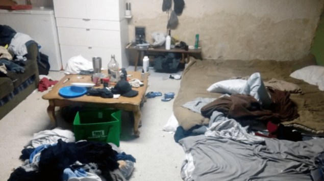 Liberan a 43 mexicanos esclavizados en Canadá