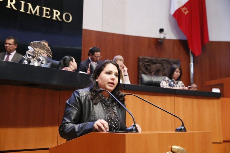 Mayuli Martínez propone que la energía eléctrica sea un derecho humano