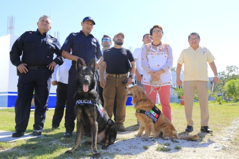 En su primer día, Unidad Canina contra narcóticos logra detención en la Quinta Avenida