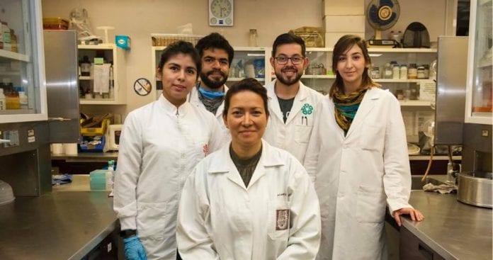 Virus del Papiloma Humano