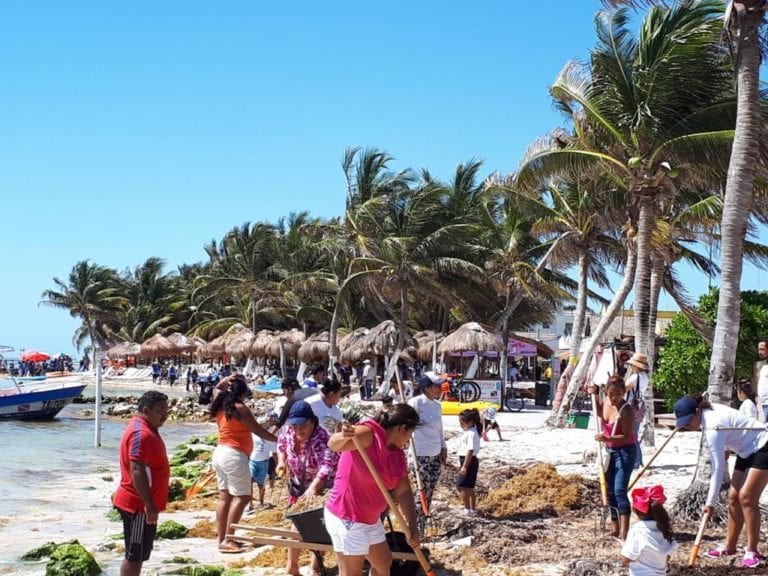 Unidos por Quintana Roo reinicia actividades contra el arribo de sargazo