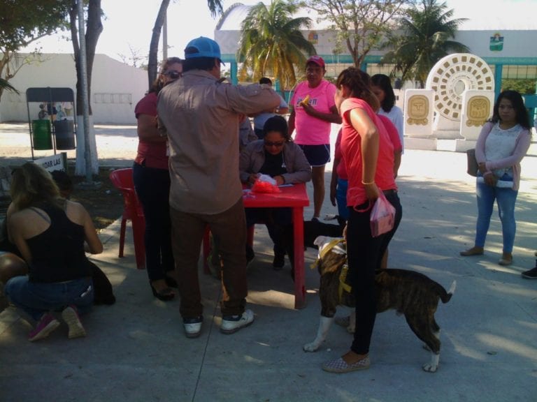 Inicia la Semana de Vacunación Antirrábica 2019 en Tulum