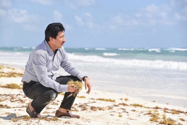 Tulum, en lucha frontal y permanente contra el sargazo