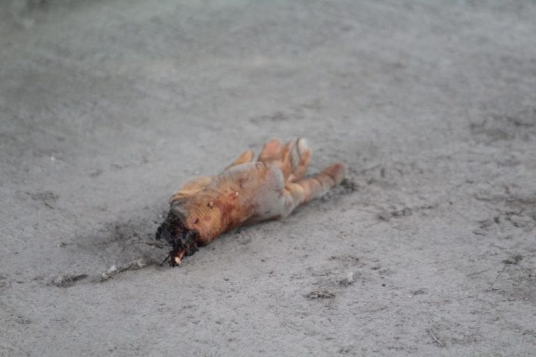 Hallan mano debajo de puente en Solidaridad