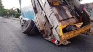 -Recolector-20190424