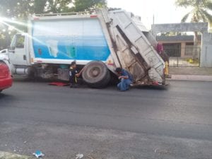 -Recolector-20190424