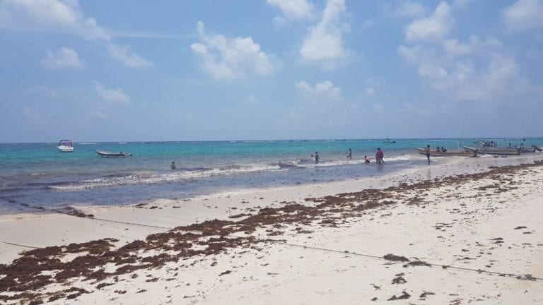 Tulum, casi libre de sargazo esta Semana Santa