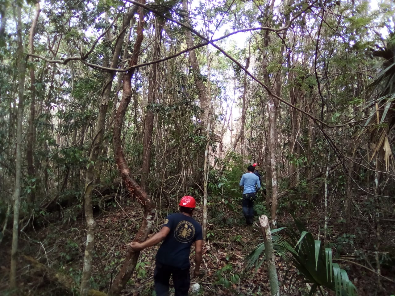 Incendio entre Lázaro Cárdenas y Solidaridad consumió 20 hectáreas de selva