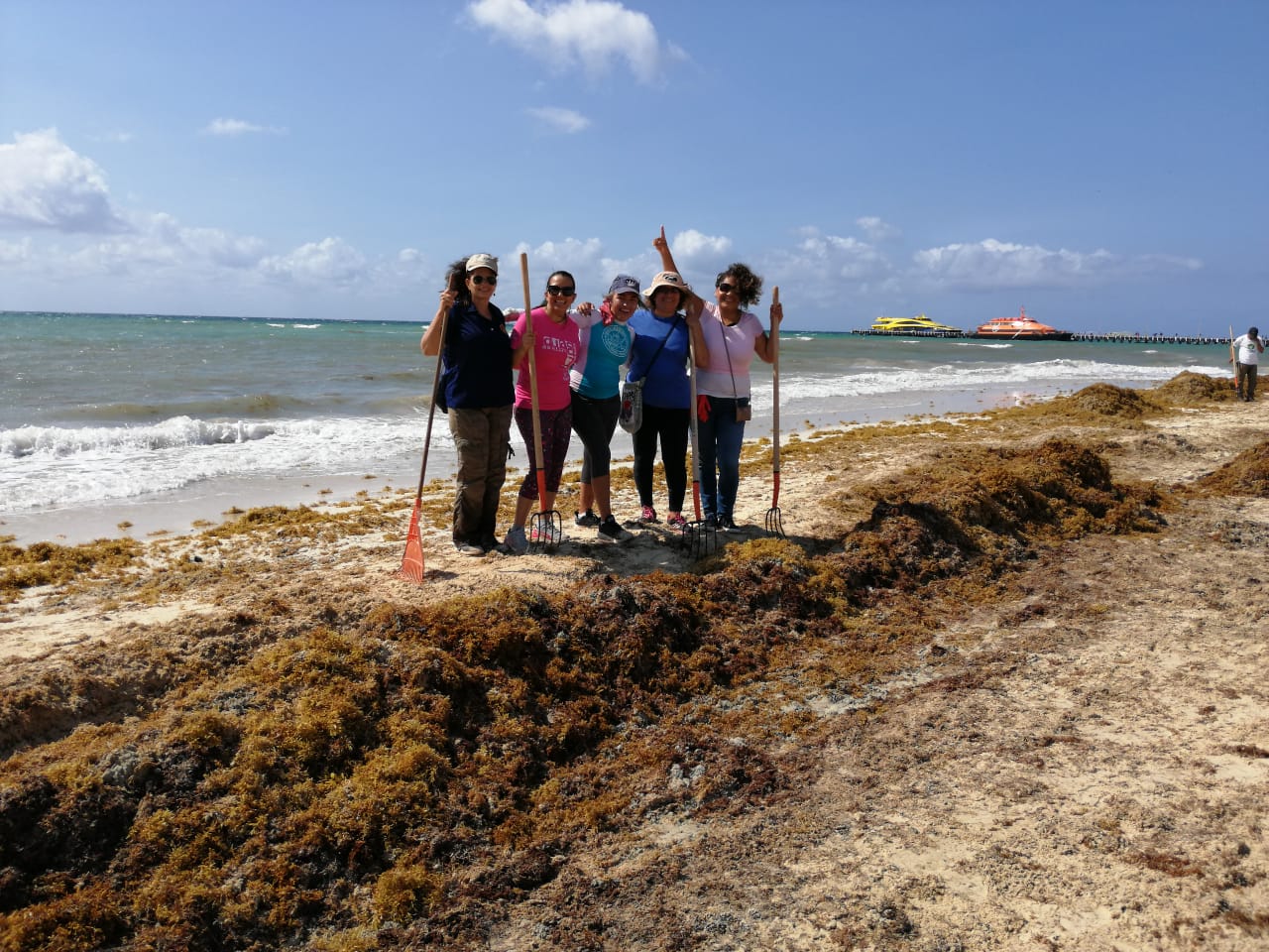 Canaco Playa del Carmen se suma a la limpieza de sargazo