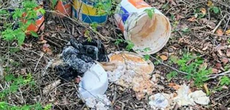 Reportan hallazgo de restos humanos en Chetumal