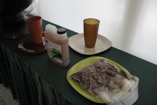 Los productos hechos con sargazo son una realidad, con&oacute;celos