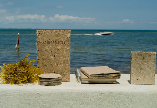 Sarg&aacute;nico, la empresa mexicana que elabora productos sustentables con sargazo