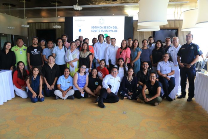 protección de la tortuga marina