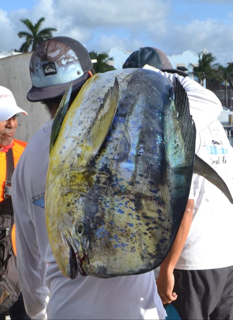 Cozumel realizará la 21 edición del torneo de pesca “Bernardo Alonso Canto”