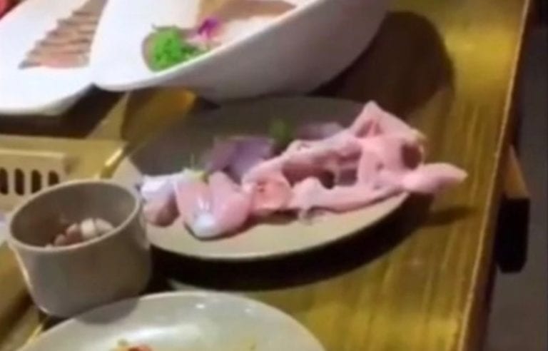 Se viraliza cuerpo de “pollo zombie”