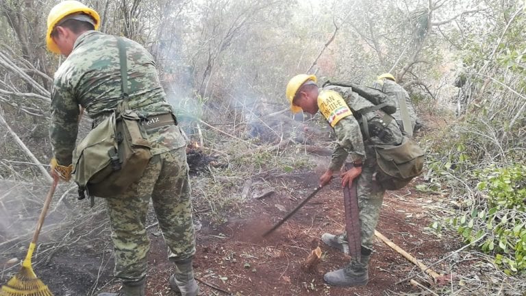 Controlan en 90% incendio en Sian Ka’an